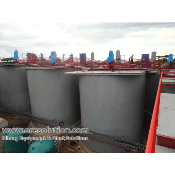 Gold-CIP-Produktionslinie und Prozesslösung